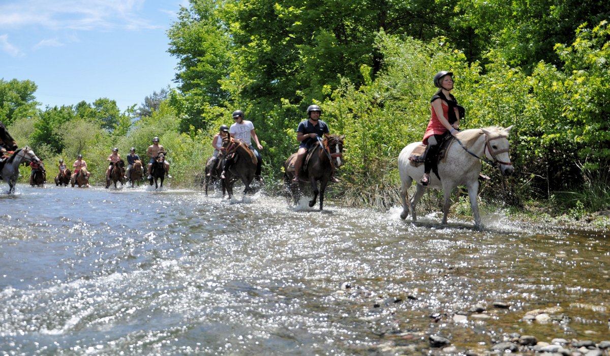 Bodrum Horse Safari - 2