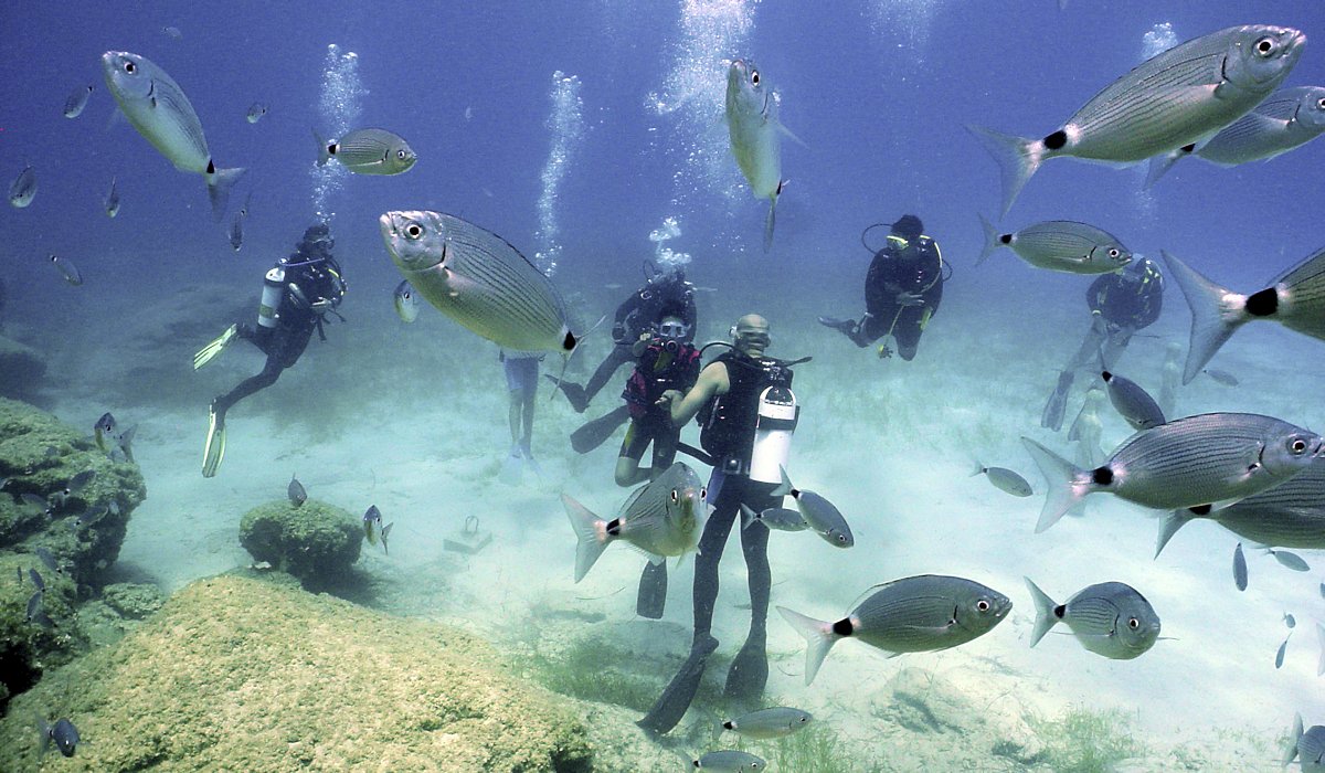 Fethiye Scuba Diving - 3