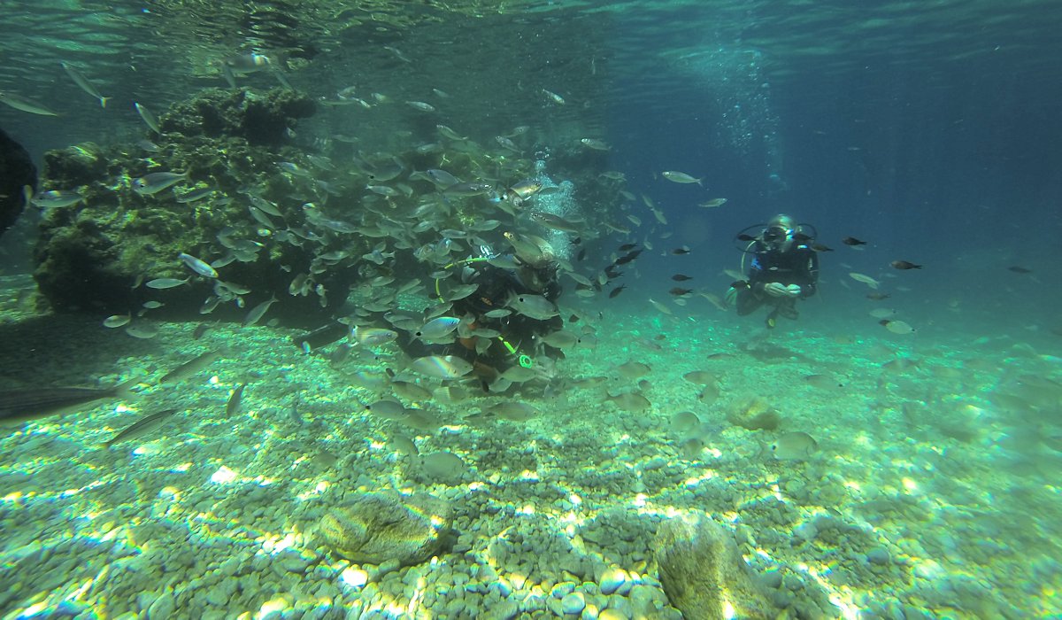 Fethiye Scuba Diving - 6
