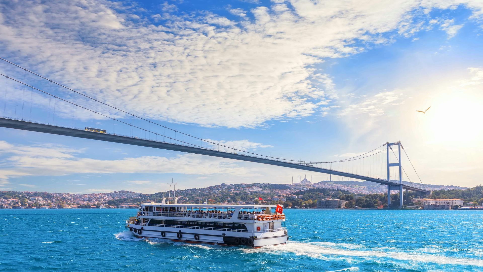 Istanbul Bosphorus Cruise and Asia - 3